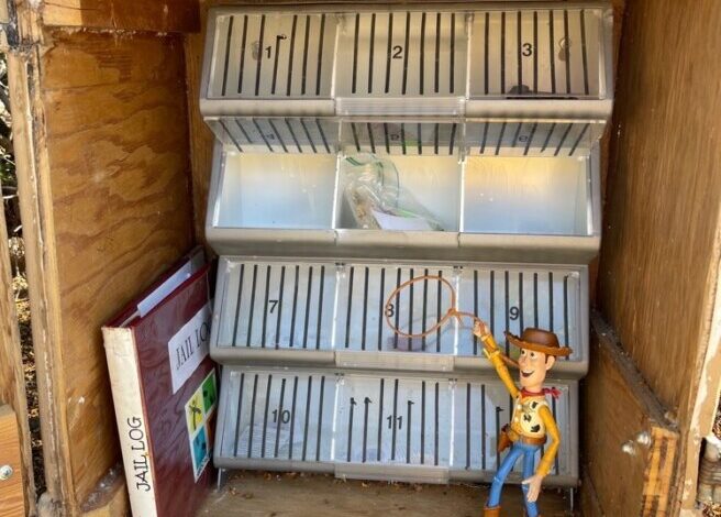 Deputies, get those travel bugs — Geocache of the Week – Official Blog