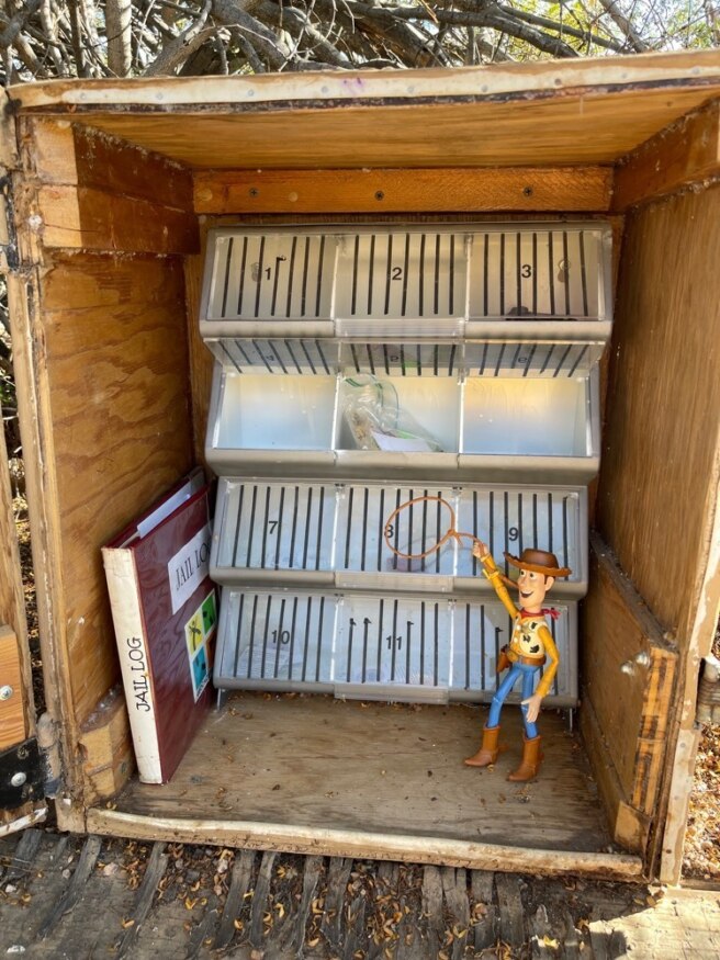 Deputies, get those travel bugs — Geocache of the Week – Official Blog