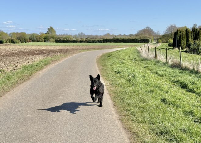 Let’s go back to the 80s – #14 — Geocache of the Week – Official Blog