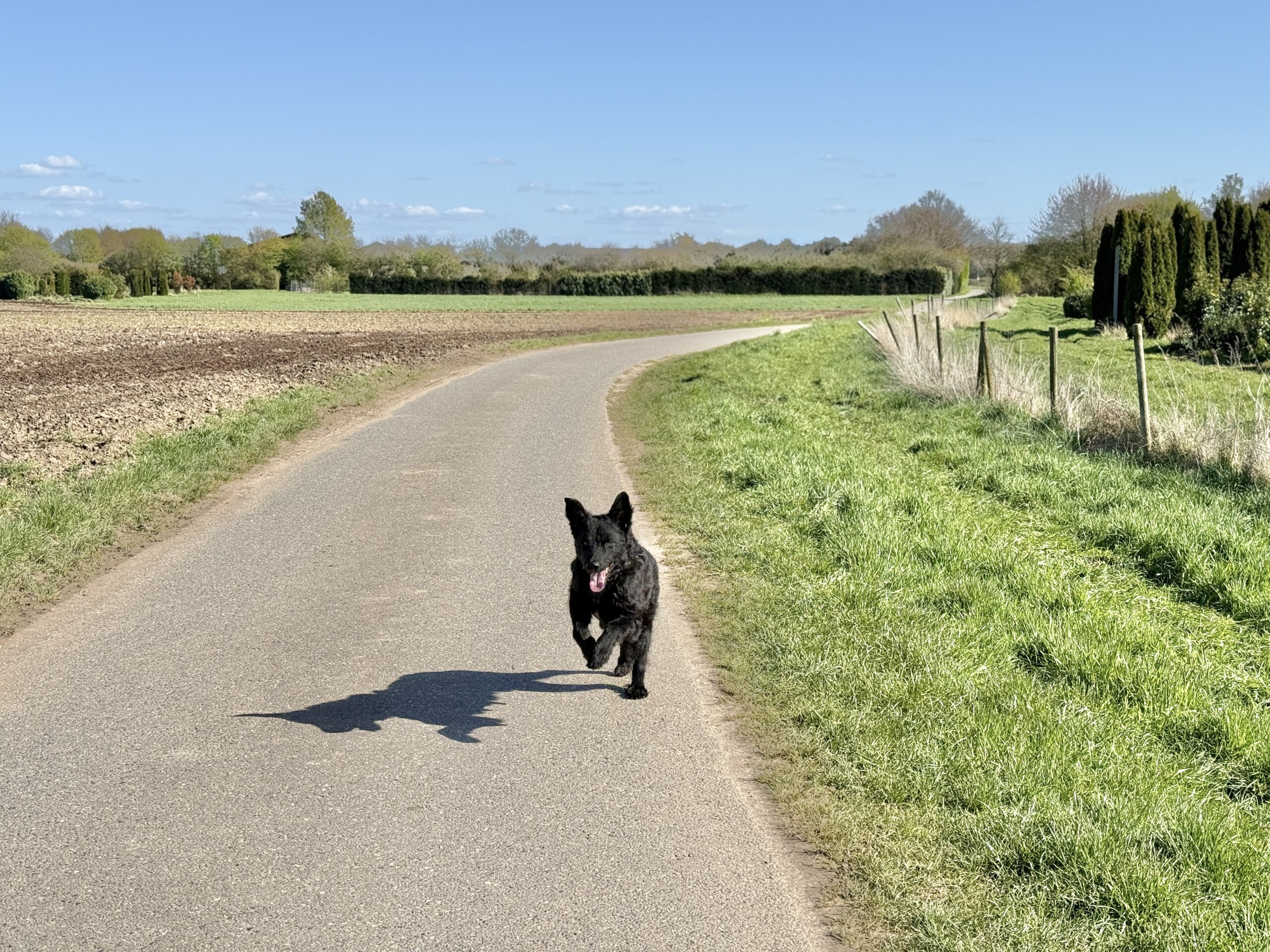 Let’s go back to the 80s – #14 — Geocache of the Week – Official Blog